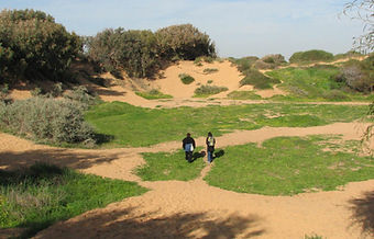 nature-coaching-shfaim4