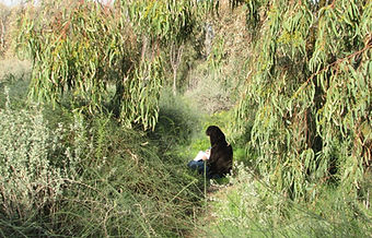 nature-coaching-shfaim9